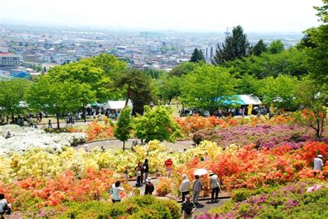 東北 植物|【2024年】東北の植物園で行きたい！東北旅行で人気のおすす。